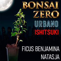 Ishitsuki Bonsai Zero...
