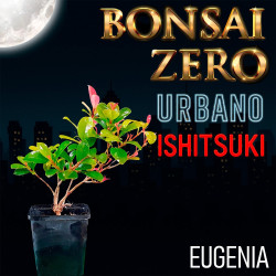Ishitsuki Bonsai Zero...