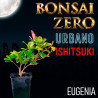 Ishitsuki Bonsai Zero URBANO Eugenia