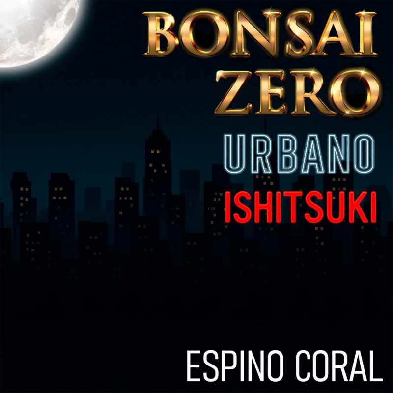 Ishitsuki Bonsai Zero URBANO Espino Coral (Erythrina Caffra)