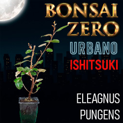 Ishitsuki Bonsai Zero...