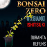 Ishitsuki Bonsai Zero URBANO Duranta Repens