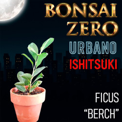 Ishitsuki Bonsai Zero...