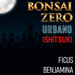 Ishitsuki Bonsai Zero...