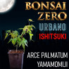 Ishitsuki Bonsai Zero URBANO Arce Palmatum "Yamamomiji"