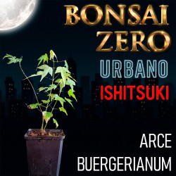 Ishitsuki Bonsai Zero...