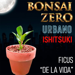 Ishitsuki Bonsai Zero...