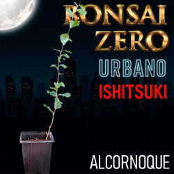 Kit Ishitsuki Bonsai Zero...