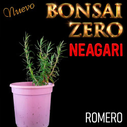 Neagari Bonsai Zero Romero