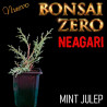 Neagari Bonsai Zero Juniperus Mint Julep