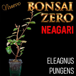 Neagari Bonsai Zero...