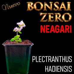 Neagari Bonsai Zero...