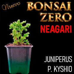 Neagari Bonsai Zero...