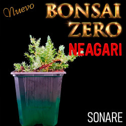 Neagari Bonsai Zero Sonare