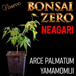 Neagari Bonsai Zero Arce...