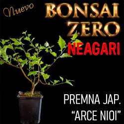 Neagari Bonsai Zero Premna...