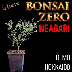 Neagari Bonsai Zero Olmo...