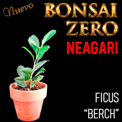 Neagari Bonsai Zero Ficus...