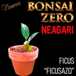 Neagari Bonsai Zero Ficus...