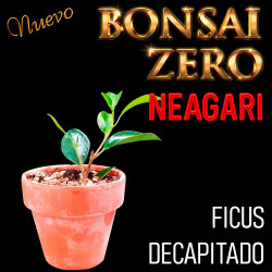 Neagari Bonsai Zero Ficus...