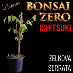 Ishitsuki Bonsai Zero...