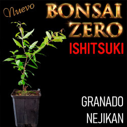 Ishitsuki Bonsai Zero...