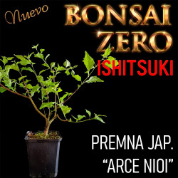Ishitsuki Bonsai Zero...