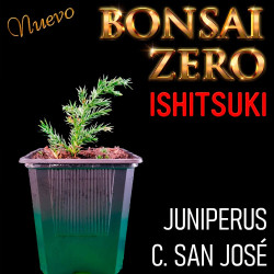Ishitsuki Bonsai Zero...