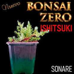 Ishitsuki Bonsai Zero Sonare