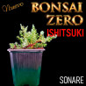 Ishitsuki Bonsai Zero Sonare