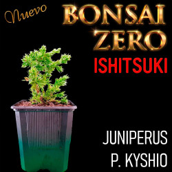 Ishitsuki Bonsai Zero...