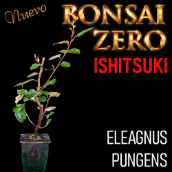Ishitsuki Bonsai Zero...