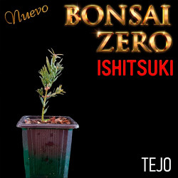 Ishitsuki Bonsai Zero Tejo