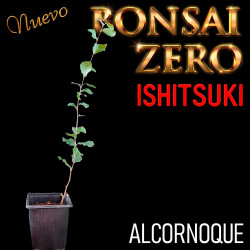 Ishitsuki Bonsai Zero...