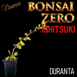Ishitsuki Bonsai Zero...