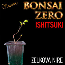 Ishitsuki Bonsai Zero...
