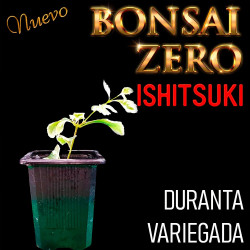 Ishitsuki Bonsai Zero...