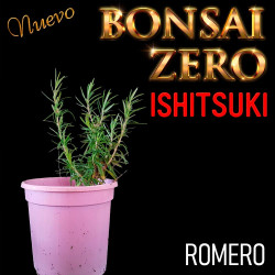 Ishitsuki Bonsai Zero...