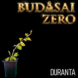 Budasai Bonsai Zero Duranta...