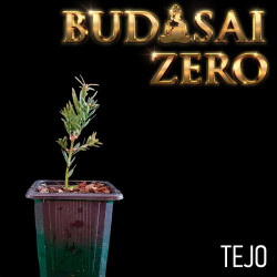 Budasai Bonsai Zero Tejo