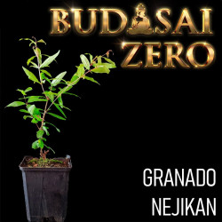Budasai Bonsai Zero Granado...