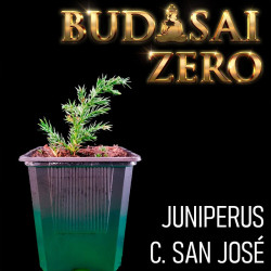 Budasai Bonsai Zero...