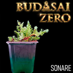 Budasai Bonsai Zero Sonare
