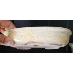 Maceta 23
