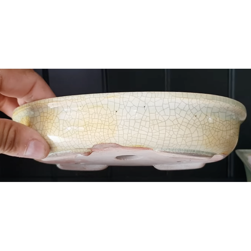 Maceta 23