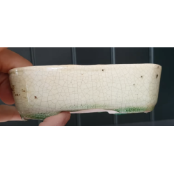 Maceta 11