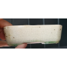 Maceta 11