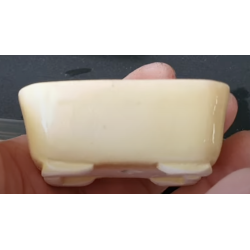 Maceta 8