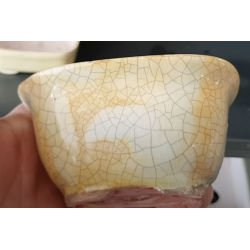 Maceta 14
