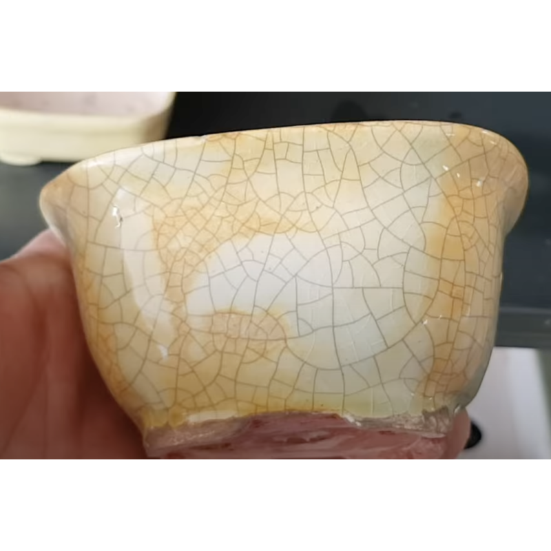 Maceta 14